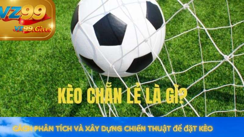 Chiến Thuật Đặt Kèo Chẵn Lẻ Tại Vz99