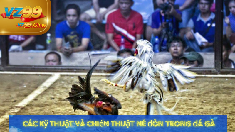 Đá Gà VZ99 – Đỉnh Cao Nghệ Thuật Cơ Hội Cá Cược Hấp Dẫn