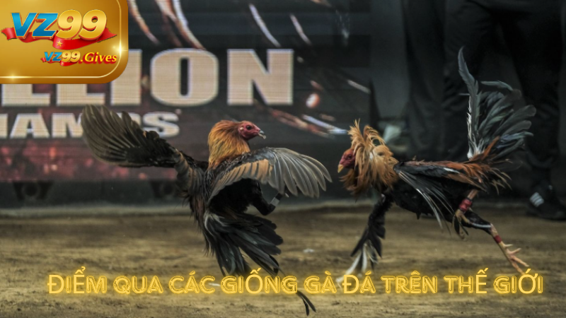 Đá Gà VZ99 – Đỉnh Cao Nghệ Thuật Cơ Hội Cá Cược Hấp Dẫn