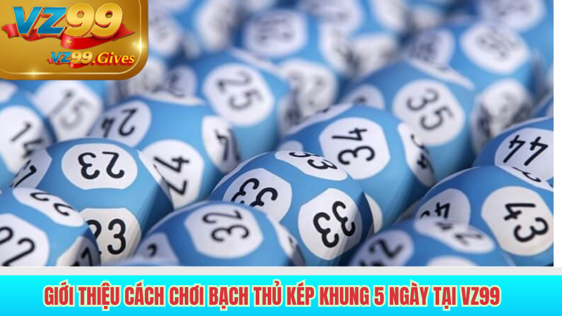 chơi bạch thủ kép khung 5 ngày