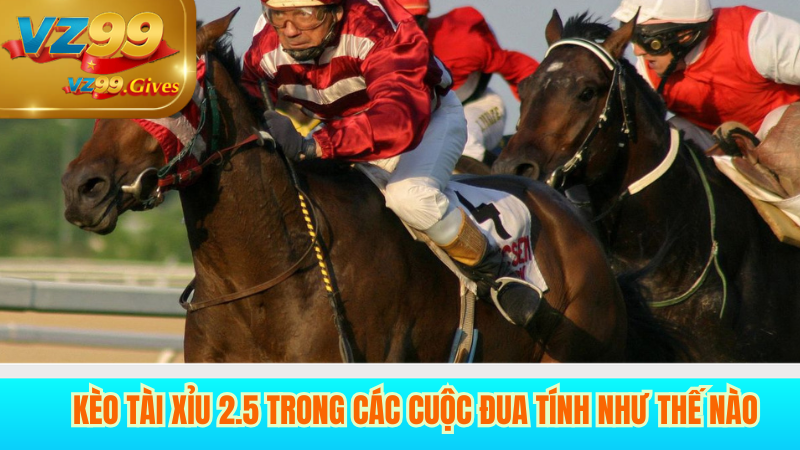 Các Kèo Tài Xỉu 2.5 Trong Thể Thao Phân loại Đặt Cược