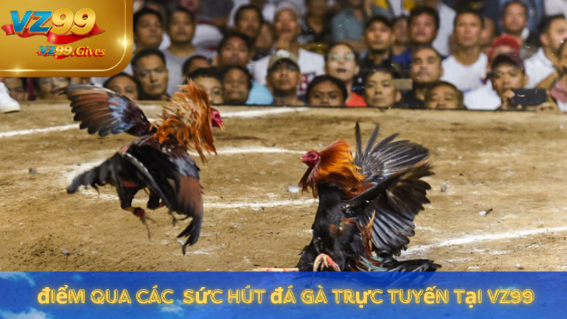Đá Gà VZ99 – Đỉnh Cao Nghệ Thuật Cơ Hội Cá Cược Hấp Dẫn
