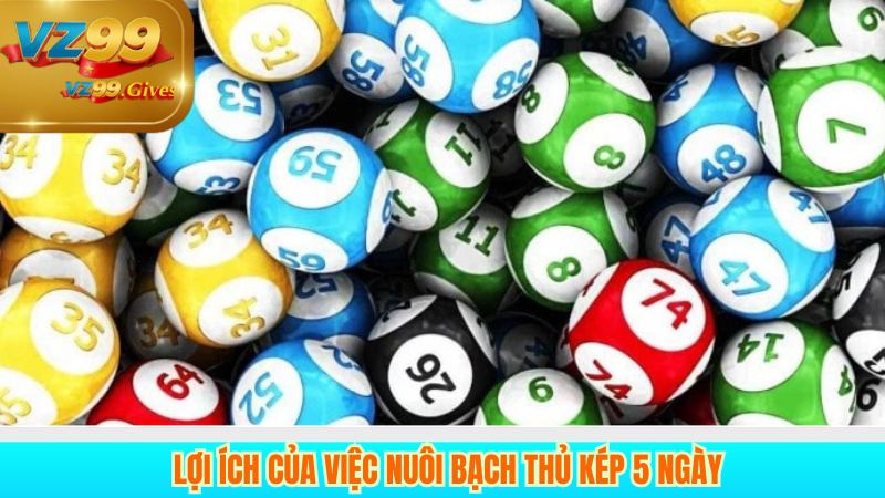 Nuôi Bạch Thủ Kép 5 Ngày Theo Dàn: Nâng Cao Tỷ Lệ Trúng Lô