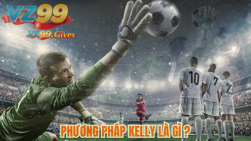 phương pháp kelly là gì vz99