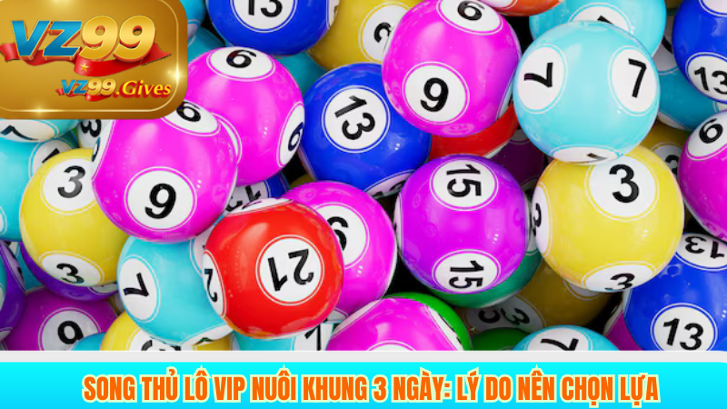 Song Thủ Lô Nuôi 3 Ngày Tăng Thêm Cơ Hội Thắng Tại VZ99