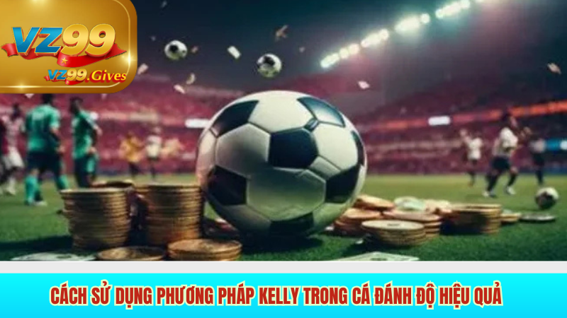 Cách Sử Dụng Phương Pháp Kelly Trong Cá đánh Độ Hiệu Quả