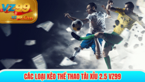 các loại kèo thể thao tài xỉu 2.5 vz99